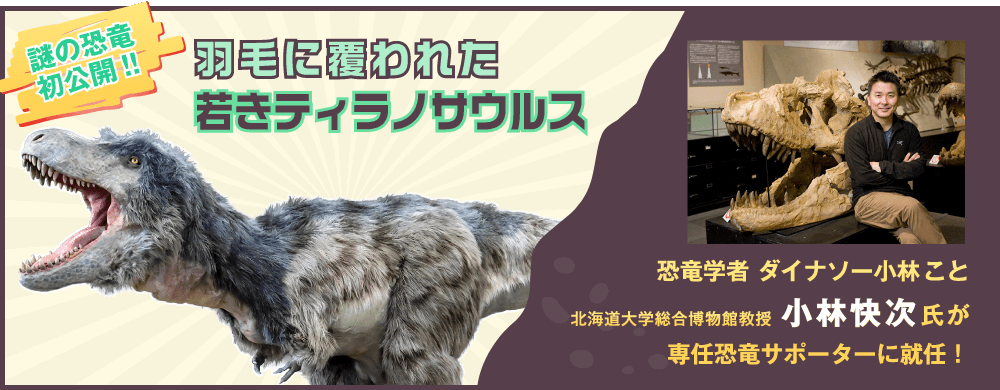 謎の恐竜初公開!!鮮やかな羽毛が覆う若きティラノサウルス/恐竜学者 小林 快次氏(北海道大学総合博物館 教授)が専任恐竜サポーターに就任!